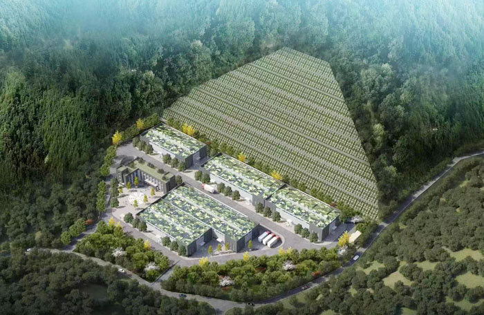 热烈恭喜十堰好色先生TV下载无限看片APP化工新扩生产基地即将动工！